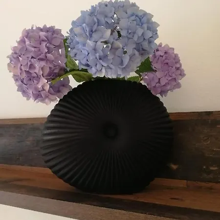 Apartamento Atmosphere *