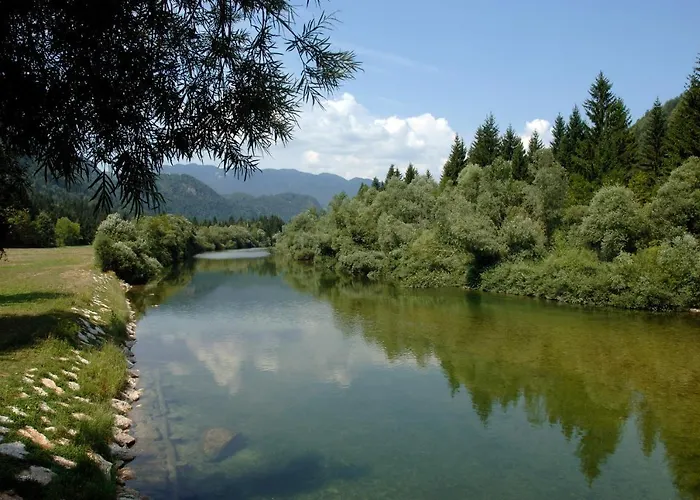 Atmosphere 블레드