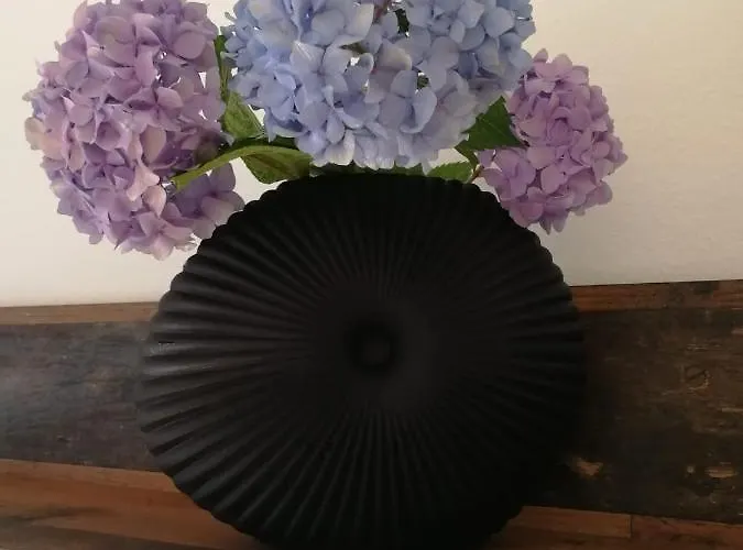 Appartamento Atmosphere *